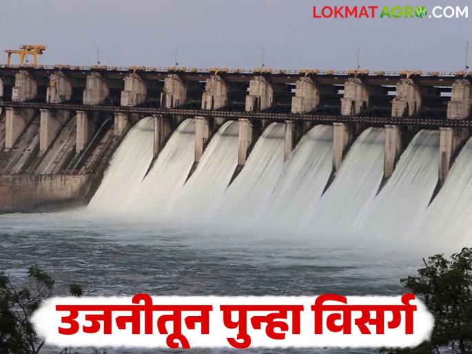 1,600 cusecs of water released from Ujani Dam; How much water is left in the dam? | उजनी धरणातून १ हजार ६०० क्युसेकने पाण्याचा विसर्ग; धरणात उरला किती पाणीसाठा? 1,600 cusecs of water released from Ujani Dam; How much water is left in the dam? | उजनी धरणातून १ हजार ६०० क्युसेकने पाण्याचा विसर्ग; धरणात उरला किती पाणीसाठा?