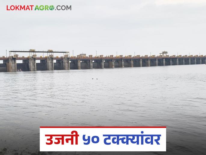 Ujani Dam Water Level : Finally Ujani is 50 percent full; How many TMC of water is stored in the dam? | Ujani Dam Water Level : अखेर उजनी ५० टक्के भरले; धरणात किती टीएमसी पाणीसाठा? Ujani Dam Water Level : Finally Ujani is 50 percent full; How many TMC of water is stored in the dam? | Ujani Dam Water Level : अखेर उजनी ५० टक्के भरले; धरणात किती टीएमसी पाणीसाठा?