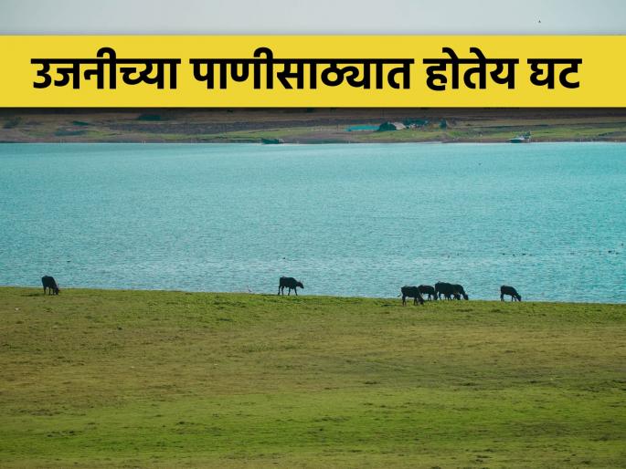 Ujani Dam water storage is decrease soon this year | उजनी धरण यंदा लवकरच अटण्याची शक्यता