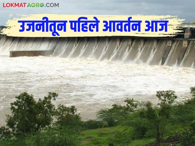 Ujani Dam Water : Planning to provide water three times from Ujani Dam; First cycle today | Ujani Dam Water : उजनीतून तीनवेळा पाणी देण्याचे नियोजन; आज पहिले आवर्तन Ujani Dam Water : Planning to provide water three times from Ujani Dam; First cycle today | Ujani Dam Water : उजनीतून तीनवेळा पाणी देण्याचे नियोजन; आज पहिले आवर्तन