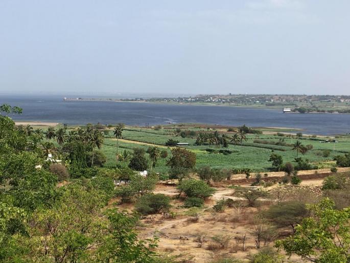 Ujani Dam water level at 38 percent; 20 percent more water storage than last year, farmers satisfied | उजनी धरण पाणी पातळी ३८ टक्क्यांवर; गतवर्षीच्या तुलनेत २० टक्के पाणी साठा जास्त, शेतकरी समाधानी Ujani Dam water level at 38 percent; 20 percent more water storage than last year, farmers satisfied | उजनी धरण पाणी पातळी ३८ टक्क्यांवर; गतवर्षीच्या तुलनेत २० टक्के पाणी साठा जास्त, शेतकरी समाधानी