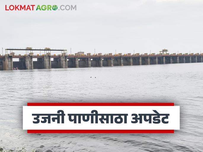Water level of Ujani Dam continues to rise; How much water is currently stored in the dam? | उजनी धरणाच्या पाणी पातळीत सातत्याने वाढ; आजमितीला धरणात किती पाणीसाठा? Water level of Ujani Dam continues to rise; How much water is currently stored in the dam? | उजनी धरणाच्या पाणी पातळीत सातत्याने वाढ; आजमितीला धरणात किती पाणीसाठा?