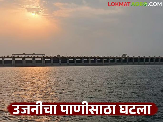 Big drop in Ujani dam water storage compared to last year; Dam will soon go into minus water level | मागील वर्षीच्या तुलनेत उजनीच्या पाणीसाठ्यात मोठी घट; धरण लवकरच मायनसमध्ये Big drop in Ujani dam water storage compared to last year; Dam will soon go into minus water level | मागील वर्षीच्या तुलनेत उजनीच्या पाणीसाठ्यात मोठी घट; धरण लवकरच मायनसमध्ये