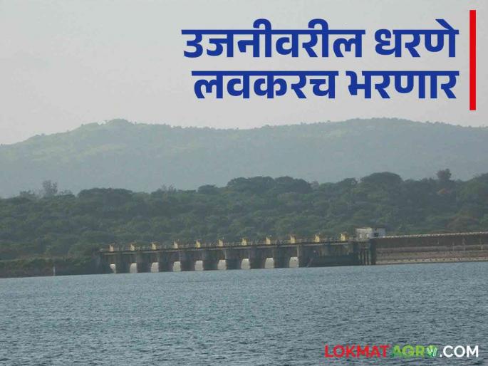 Heavy rains in Bhima valley, rapid rise in water in Ujani dam | Ujani Dam Water Level: भीमा खोऱ्यात मुसळधार पाऊस, उजनी धरणाच्या पाण्यात झपाट्याने वाढ Heavy rains in Bhima valley, rapid rise in water in Ujani dam | Ujani Dam Water Level: भीमा खोऱ्यात मुसळधार पाऊस, उजनी धरणाच्या पाण्यात झपाट्याने वाढ
