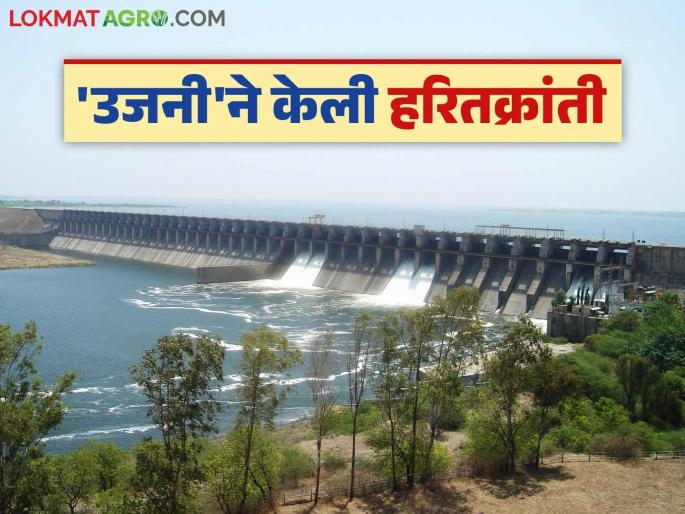 How was the 'Ujani' dam, which has the highest water storage capacity in the state, built? Read in detail | राज्यात सर्वाधिक पाणी साठवण क्षमता असणारे 'उजनी' धरण कसे निर्माण झाले? वाचा सविस्तर How was the 'Ujani' dam, which has the highest water storage capacity in the state, built? Read in detail | राज्यात सर्वाधिक पाणी साठवण क्षमता असणारे 'उजनी' धरण कसे निर्माण झाले? वाचा सविस्तर