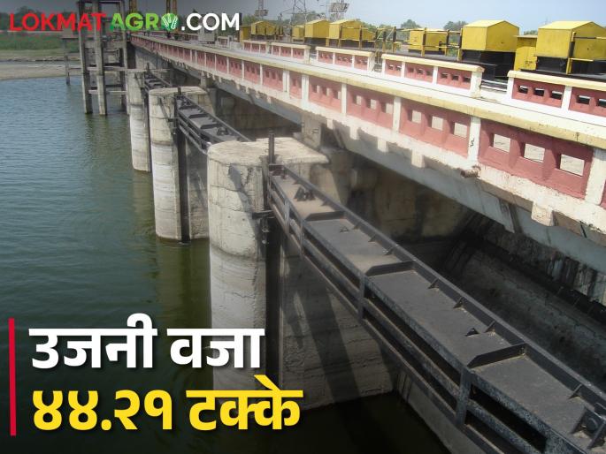 For the first time in the history of Ujani Dam is expected to fall below minus 60 percent | Ujani Dam इतिहासात प्रथमच एवढं मोठ धरण वजा ६० टक्क्यांपेक्षा खाली जाण्याचा अंदाज For the first time in the history of Ujani Dam is expected to fall below minus 60 percent | Ujani Dam इतिहासात प्रथमच एवढं मोठ धरण वजा ६० टक्क्यांपेक्षा खाली जाण्याचा अंदाज