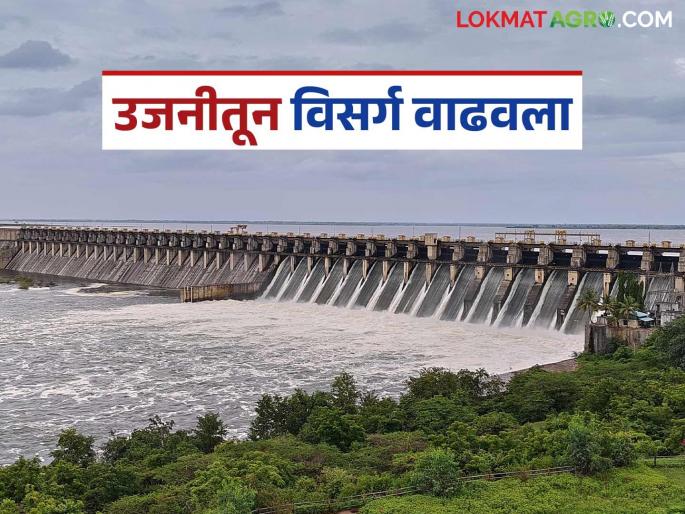 70 thousand cusecs of water released from Ujani dam; Bhima river likely to flood | उजनी धरणातून ७० हजार क्युसेक पाण्याचा विसर्ग; भीमा नदीला पूर येण्याची शक्यता 70 thousand cusecs of water released from Ujani dam; Bhima river likely to flood | उजनी धरणातून ७० हजार क्युसेक पाण्याचा विसर्ग; भीमा नदीला पूर येण्याची शक्यता
