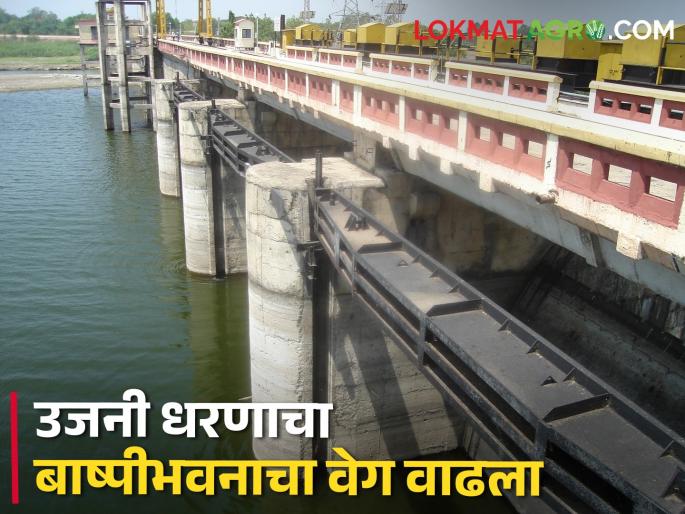Ujani Dam 'Ujani' will decrease by how much TMC till June 30 | Ujani Dam 'उजनी' ३० जूनपर्यंत किती टीएमसीने घटणार Ujani Dam 'Ujani' will decrease by how much TMC till June 30 | Ujani Dam 'उजनी' ३० जूनपर्यंत किती टीएमसीने घटणार