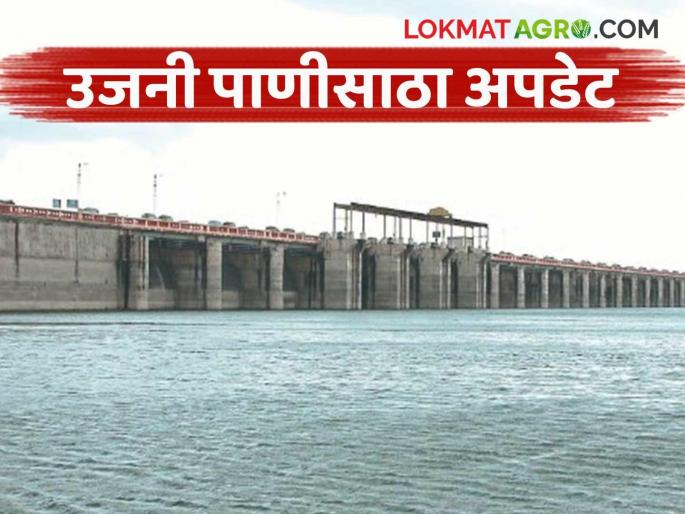 How much water has flowed into Ujani Dam in the last 24 hours? Know in detail | उजनी धरणात मागील २४ तासांत आले किती पाणी? जाणून घ्या सविस्तर