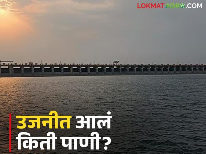 Good rains in Ujani catchment area in the last two days; How much water has accumulated in the dam? | मागील दोन दिवसांत उजनी पाणलोट क्षेत्रात चांगला पाऊस; धरणात झाला किती पाणीसाठा? Good rains in Ujani catchment area in the last two days; How much water has accumulated in the dam? | मागील दोन दिवसांत उजनी पाणलोट क्षेत्रात चांगला पाऊस; धरणात झाला किती पाणीसाठा?