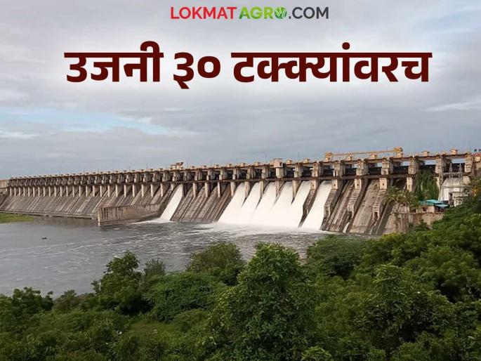Ujani Dam Water Level: How much water is left in Ujani Dam, which has the highest water storage in the state? | Ujani Dam Water Level : राज्यातील सर्वात जास्त पाणीसाठा असणाऱ्या उजनी धरणात किती पाणी शिल्लक? Ujani Dam Water Level: How much water is left in Ujani Dam, which has the highest water storage in the state? | Ujani Dam Water Level : राज्यातील सर्वात जास्त पाणीसाठा असणाऱ्या उजनी धरणात किती पाणी शिल्लक?