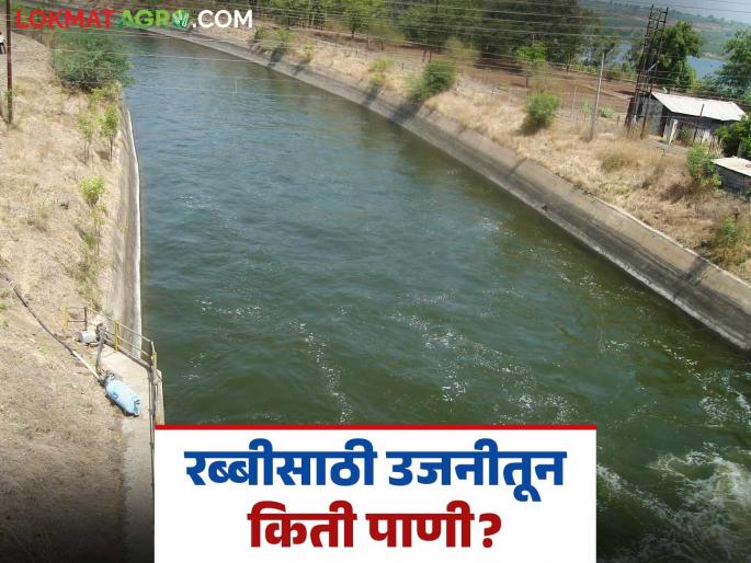 Ujani Dam Water : Water released from Ujani for Rabi crops; How long will the cycle continue? | Ujani Dam Water : उजनीतून रब्बीसाठी पाणी सोडले; किती दिवस सुरु राहणार आवर्तन? Ujani Dam Water : Water released from Ujani for Rabi crops; How long will the cycle continue? | Ujani Dam Water : उजनीतून रब्बीसाठी पाणी सोडले; किती दिवस सुरु राहणार आवर्तन?