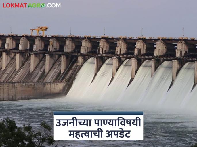 Agriculture will now get water from Ujani Dam till June-July; This big decision has been taken | उजनी धरणातून आता शेतीला मिळणार जून-जुलैपर्यंत पाणी; घेतला हा मोठा निर्णय Agriculture will now get water from Ujani Dam till June-July; This big decision has been taken | उजनी धरणातून आता शेतीला मिळणार जून-जुलैपर्यंत पाणी; घेतला हा मोठा निर्णय