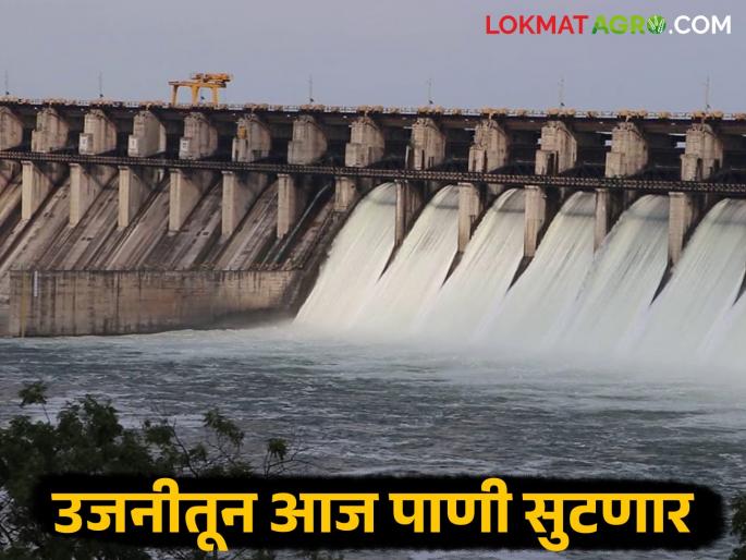 Ujani Dam Water : Good news for farmers: 2 thousand cusecs of water will be released from Ujani today | Ujani Dam Water : शेतकऱ्यांसाठी गुडन्यूज : उजनीतून आज २ हजार क्युसेक पाणी सोडणार Ujani Dam Water : Good news for farmers: 2 thousand cusecs of water will be released from Ujani today | Ujani Dam Water : शेतकऱ्यांसाठी गुडन्यूज : उजनीतून आज २ हजार क्युसेक पाणी सोडणार