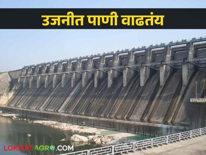 Ujani Dam Water: What percentage increase in water level of Ujani Dam in eight days | Ujani Dam Water आठ दिवसांत उजनी धरणाच्या पाणीपातळीत किती टक्क्यांनी झाली वाढ Ujani Dam Water: What percentage increase in water level of Ujani Dam in eight days | Ujani Dam Water आठ दिवसांत उजनी धरणाच्या पाणीपातळीत किती टक्क्यांनी झाली वाढ