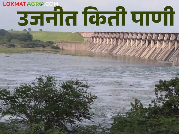 Ujani Dam stop rain.. Reduction in discharge from Daund, how much water came in Ujani Dam | Ujani Dam पावसाची विश्रांती.. दौंड येथून सुरू असलेल्या विसर्गात घट, उजनीत आलं किती पाणी Ujani Dam stop rain.. Reduction in discharge from Daund, how much water came in Ujani Dam | Ujani Dam पावसाची विश्रांती.. दौंड येथून सुरू असलेल्या विसर्गात घट, उजनीत आलं किती पाणी