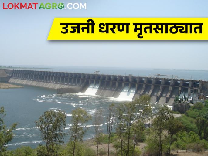 Only one and a half TMC of useful water storage remains in Ujani Dam | उजनी धरणात उपयुक्त पाणीसाठा केवळ दीड टीएमसी शिल्लक Only one and a half TMC of useful water storage remains in Ujani Dam | उजनी धरणात उपयुक्त पाणीसाठा केवळ दीड टीएमसी शिल्लक