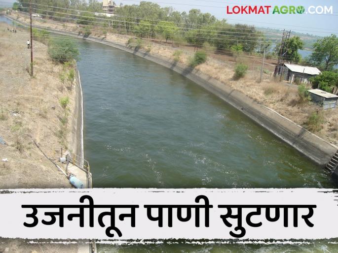 Ujani Dam Water : Water will be released from ujani dam for agriculture in bhima river and two canals | Ujani Dam Water : उजनीतून भीमा नदी, दोन कालव्यांत शेतीसाठी लवकरच पाणी सोडणार Ujani Dam Water : Water will be released from ujani dam for agriculture in bhima river and two canals | Ujani Dam Water : उजनीतून भीमा नदी, दोन कालव्यांत शेतीसाठी लवकरच पाणी सोडणार