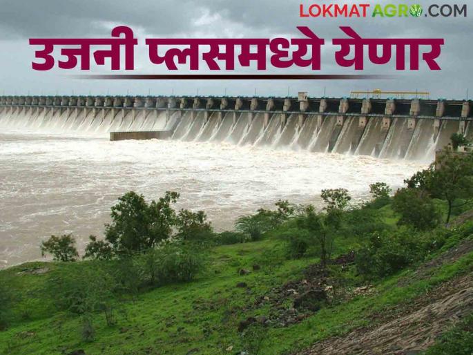 Ujani Dam: How much more TMC is required to bring Ujani to a useful level? | Ujani Dam: उजनी उपयुक्त पातळीत येण्यासाठी अजून किती टीएमसीची गरज
