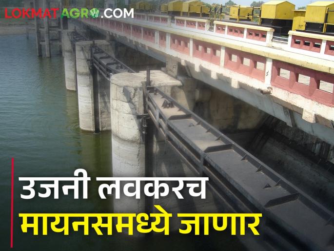 Only seven percent of the water reserve is left in Ujani Dam | उजनी धरणात सात टक्केच पाणीसाठा शिल्लक Only seven percent of the water reserve is left in Ujani Dam | उजनी धरणात सात टक्केच पाणीसाठा शिल्लक