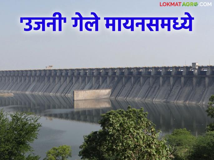 Ujani Dam Minus : Ujani Dam's water storage has gone into minus storage level; Water supply to all schemes will be closed | Ujani Dam Minus : उजनी धरणाचा पाणीसाठा गेला मृतसाठ्यामध्ये; सर्व योजनांचे पाणी होणार बंद Ujani Dam Minus : Ujani Dam's water storage has gone into minus storage level; Water supply to all schemes will be closed | Ujani Dam Minus : उजनी धरणाचा पाणीसाठा गेला मृतसाठ्यामध्ये; सर्व योजनांचे पाणी होणार बंद