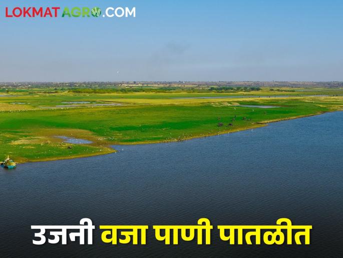The Ujani dam decrease water level in minus start of summer; How much water is left? | उन्हाळ्याच्या सुरुवातीलाच उजनी धरणाने गाठला तळ; किती पाणी शिल्लक