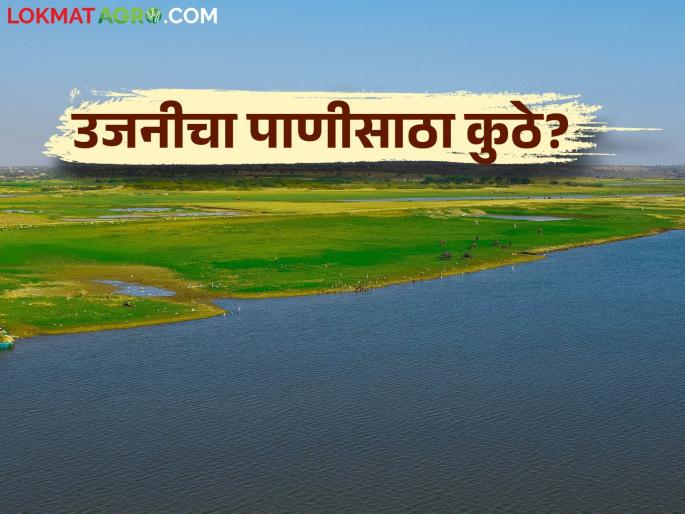 Ujani dam minus 38 percent, another problem create for the farmers on Ujani | उजनी धरण उणे ३८ टक्के त्यातच उजनीवरील शेतकऱ्यांना अजून एक फटका Ujani dam minus 38 percent, another problem create for the farmers on Ujani | उजनी धरण उणे ३८ टक्के त्यातच उजनीवरील शेतकऱ्यांना अजून एक फटका