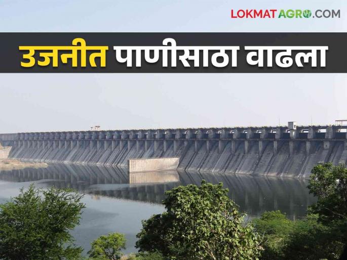 Ujani Dam: How much TMC water storage has increased in Ujani Dam in last 25 days | Ujani Dam गेल्या २५ दिवसांत उजनीत वाढला किती टीएमसी पाणीसाठा Ujani Dam: How much TMC water storage has increased in Ujani Dam in last 25 days | Ujani Dam गेल्या २५ दिवसांत उजनीत वाढला किती टीएमसी पाणीसाठा