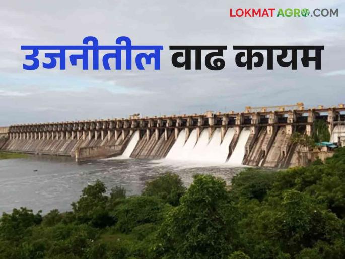 Ujani Dam Water Level: How much TMC water has entered Ujani Dam in the last 33 days | Ujani Dam Water Level: मागील ३३ दिवसांत उजनी धरणात आलं किती टीएमसी पाणी