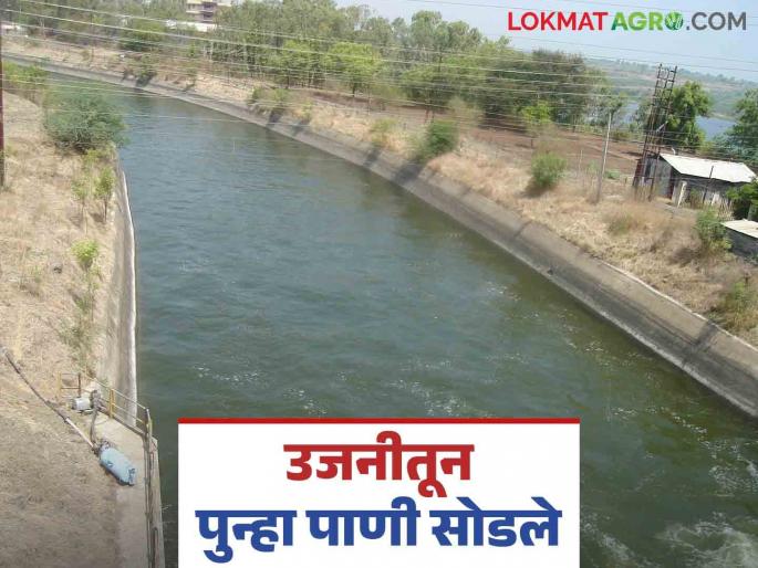 Ujani Dam : Water from Ujani will be released into Kurnur Dam till the end of the first cycle | Ujani Dam : उजनीतून पहिले आवर्तन संपेपर्यंत कुरनूर धरणात पाणी सोडण्यात येणार Ujani Dam : Water from Ujani will be released into Kurnur Dam till the end of the first cycle | Ujani Dam : उजनीतून पहिले आवर्तन संपेपर्यंत कुरनूर धरणात पाणी सोडण्यात येणार