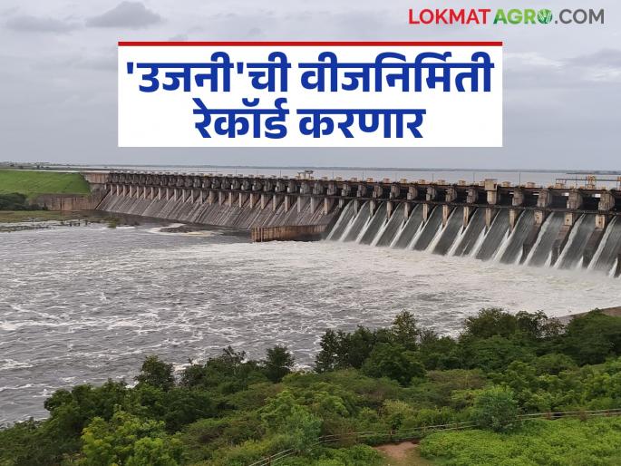 More than one lakh units of water were released from Ujani Dam three times this year; 25 crore units of electricity generated | उजनी धरणातून यंदा तीन वेळा एक लाखापेक्षा जास्त विसर्ग; तब्बल अडीच कोटी युनिट वीजनिर्मिती