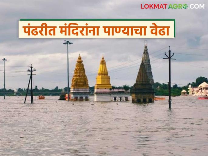 Two and a half lakhs of water released from Ujani and Veer dams; Temples in Pandharpur under water | उजनी आणि वीर धरणातून पावणेदोन लाखांचा विसर्ग; पंढरपुरात मंदिरांना पाण्याचा वेढा