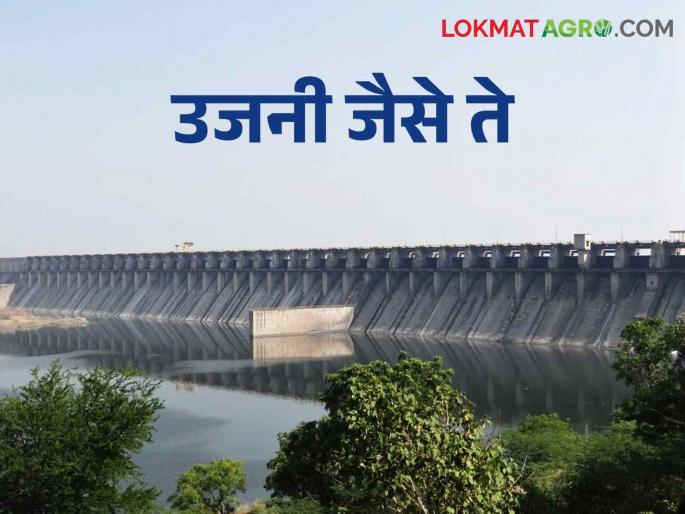 Ujani Dam: Rain has decreased in Ujani area, how far is the water level of the dam | Ujani Dam उजनी क्षेत्रात पाऊस ओसरला, धरणाची पाणीपातळी कुठपर्यंत Ujani Dam: Rain has decreased in Ujani area, how far is the water level of the dam | Ujani Dam उजनी क्षेत्रात पाऊस ओसरला, धरणाची पाणीपातळी कुठपर्यंत
