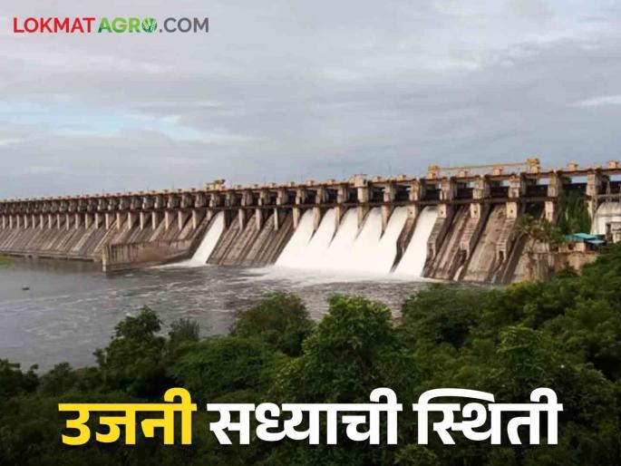 Ujani Dam Water Level: Ujani likely to come out of dead reservoir in eight days Read more | Ujani Dam Water Level: आठ दिवसांत उजनी मृत साठ्यातून बाहेर येण्याची शक्यता वाचा सविस्तर