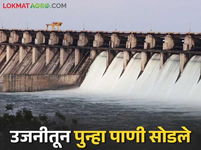 Process of releasing water from Ujani to Kurnur dam begins for emergency drought situation | आपत्कालीन दुष्काळी परिस्थितीसाठी उजनीतून कुरनूर धरणात पाणी सोडण्याची प्रक्रिया सुरु Process of releasing water from Ujani to Kurnur dam begins for emergency drought situation | आपत्कालीन दुष्काळी परिस्थितीसाठी उजनीतून कुरनूर धरणात पाणी सोडण्याची प्रक्रिया सुरु