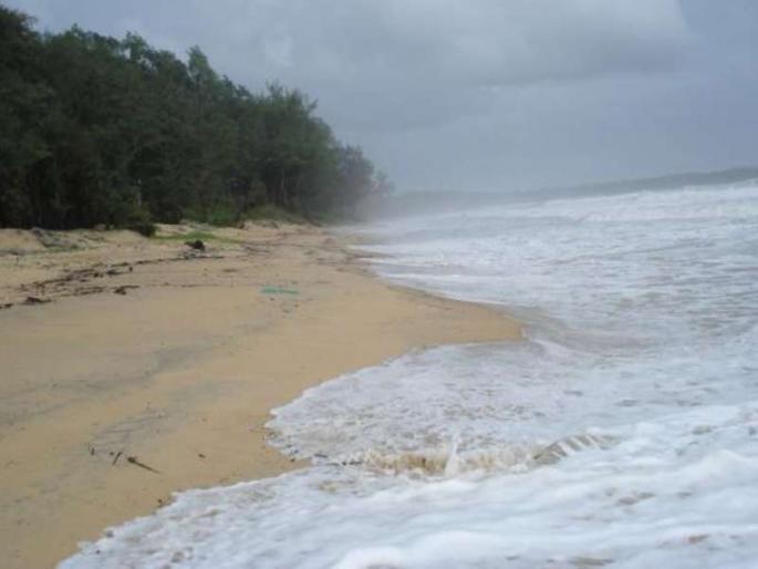 Politics behind Sarpanch's disqualification in Goa | गोव्यात सरपंचाला अपात्र ठरविण्यामागचे राजकारण Politics behind Sarpanch's disqualification in Goa | गोव्यात सरपंचाला अपात्र ठरविण्यामागचे राजकारण