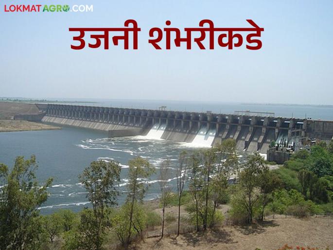 Uajni Dam Water : Uajni Dam is moving towards its 100th year; How much water is currently stored in the dam? | Uajni Dam Water : उजनी धरणाची शंभरीकडे वाटचाल सुरू; सद्या धरणात किती पाणीसाठा? Uajni Dam Water : Uajni Dam is moving towards its 100th year; How much water is currently stored in the dam? | Uajni Dam Water : उजनी धरणाची शंभरीकडे वाटचाल सुरू; सद्या धरणात किती पाणीसाठा?