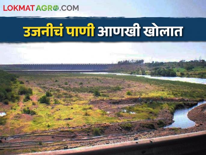 History happened; 'Ujani' Water stock fell to minus percent, agriculture in trouble | Ujani Dam इतिहास घडला; 'उजनी'चा साठा उणे इतक्या टक्क्यांवर आला