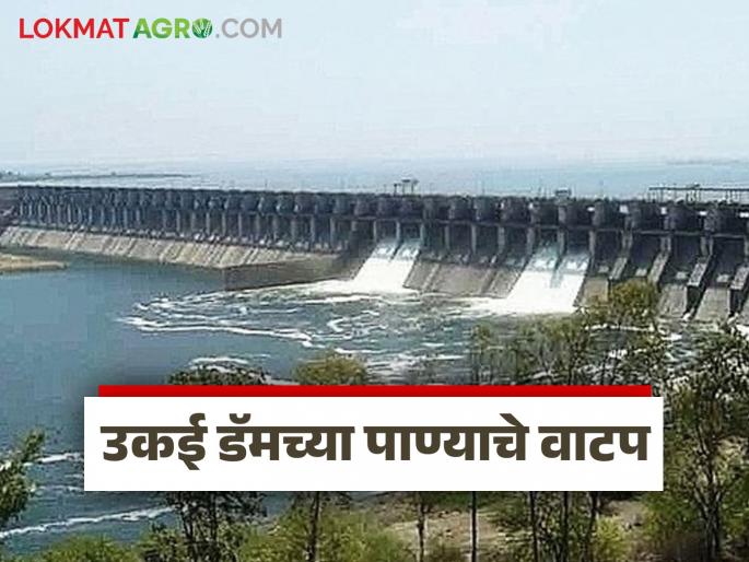 107 villages will get five TMC water from Ukai Dam, here is the list of villages | Ukai Dam : उकाई धरणातून 107 गावांना पाच टीएमसी पाणी मिळणार, अशी आहे गावांची यादी 107 villages will get five TMC water from Ukai Dam, here is the list of villages | Ukai Dam : उकाई धरणातून 107 गावांना पाच टीएमसी पाणी मिळणार, अशी आहे गावांची यादी