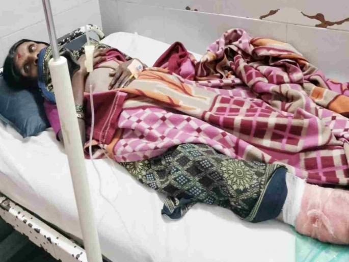 22 people bitten by a stray dog in Ulhasnagar; MNS warns the Municipal Corporation | उल्हासनगरात पिसाळलेल्या कुत्र्याचा २२ जणांना चावा; महापालिकेला मनसेचा इशारा 22 people bitten by a stray dog in Ulhasnagar; MNS warns the Municipal Corporation | उल्हासनगरात पिसाळलेल्या कुत्र्याचा २२ जणांना चावा; महापालिकेला मनसेचा इशारा