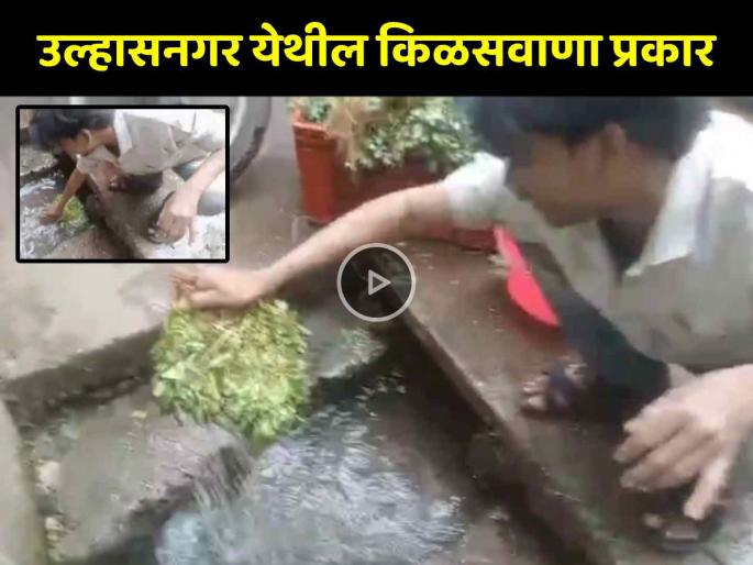 disgusting! vegetables washed by sewage water in Khemani Market of Ulhasnagar video goes viral | उल्हासनगर: चक्क गटाराच्या पाण्यात धुवून घेतल्या भाज्या; VIDEO व्हायरल झाल्याने खळबळ disgusting! vegetables washed by sewage water in Khemani Market of Ulhasnagar video goes viral | उल्हासनगर: चक्क गटाराच्या पाण्यात धुवून घेतल्या भाज्या; VIDEO व्हायरल झाल्याने खळबळ