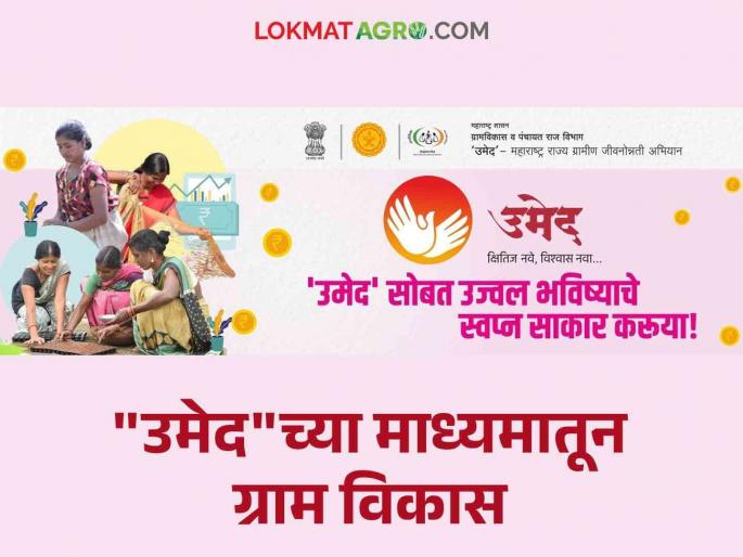 Umaid Abhiyan : Dialogue with 'Cleanliness Work, Clean Self-Governing Groups' in association with Umaid Abhiyan | Umaid Abhiyan : उमेद अभियानची साथीने  'स्वच्छतेचे काम, स्वच्छ बचत गटांसोबत' संवाद