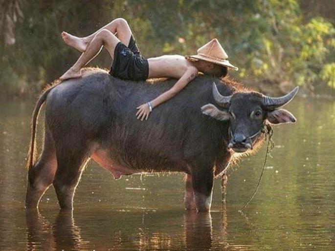 If you want to enjoy love, learn to love unconditionally! | प्रेमाचा आनंद उपभोगायचा असेल, तर विनाआट प्रेम करायला शिका! If you want to enjoy love, learn to love unconditionally! | प्रेमाचा आनंद उपभोगायचा असेल, तर विनाआट प्रेम करायला शिका!