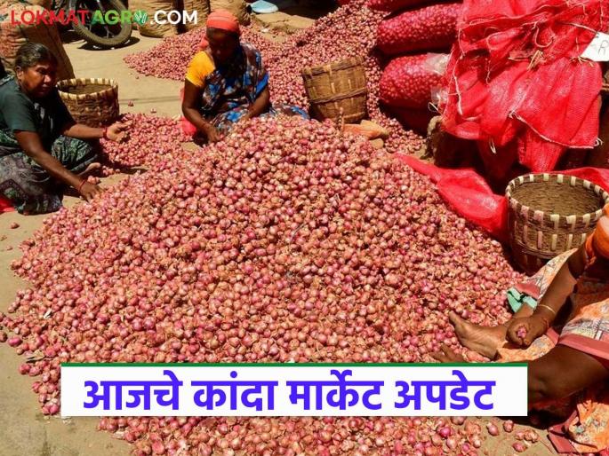 Latest News Kanda Bajar Bhav see onion prices in Nashik, Pune, Mumbai kanda markets | Kanda Bajar Bhav : नाशिक, पुणे, मुंबई बाजारात कांद्याला काय दर मिळतोय? वाचा आजचे दर Latest News Kanda Bajar Bhav see onion prices in Nashik, Pune, Mumbai kanda markets | Kanda Bajar Bhav : नाशिक, पुणे, मुंबई बाजारात कांद्याला काय दर मिळतोय? वाचा आजचे दर