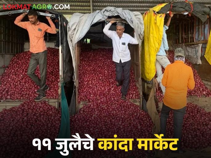 Latest News Solapur, Lasalgaon onion market sees fluctuations, see todays kanda market prices | Kanda Market : सोलापूर, लासलगाव कांदा मार्केटमध्ये चढ-उतार, वाचा आज काय भाव मिळाला? 