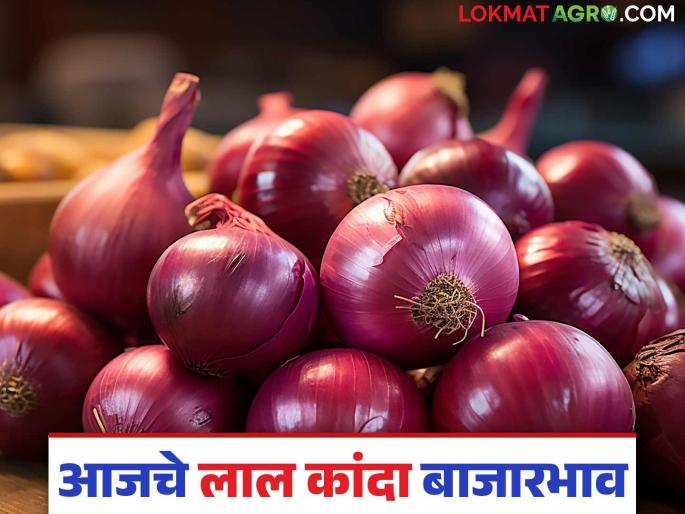 Latest News Nashik Kanda Market unhal kanda arrival in Nashik market, see todays kanda bajarbhav | Nashik Kanda Market : नाशिक बाजारात उन्हाळ कांद्याची आवक, काय भाव मिळाला? वाचा सविस्तर Latest News Nashik Kanda Market unhal kanda arrival in Nashik market, see todays kanda bajarbhav | Nashik Kanda Market : नाशिक बाजारात उन्हाळ कांद्याची आवक, काय भाव मिळाला? वाचा सविस्तर