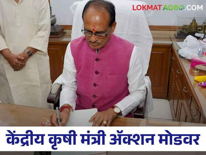 The New Union Agriculture Minister, Mamaji was on action mode and prepared a 100-day plan for the farmers | कृषीमंत्री होताच मामाजी ॲक्शन मोडवर, शेतकऱ्यांसाठी १०० दिवसांचा तयार केला आराखडा The New Union Agriculture Minister, Mamaji was on action mode and prepared a 100-day plan for the farmers | कृषीमंत्री होताच मामाजी ॲक्शन मोडवर, शेतकऱ्यांसाठी १०० दिवसांचा तयार केला आराखडा