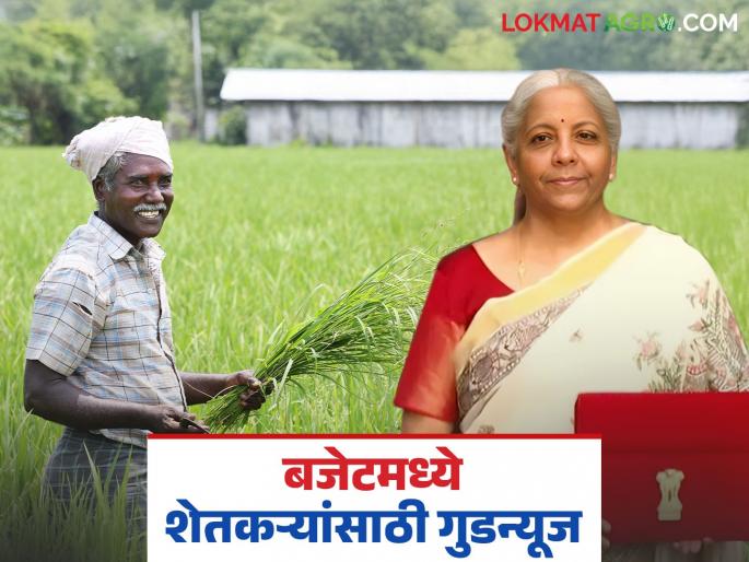 Union Budget 2025 : These big announcements for farmers in this year's Union Budget; Read in detail | Union Budget 2025 : यंदाच्या केंद्रीय अर्थसंकल्पात शेतकऱ्यांसाठी ह्या मोठ्या घोषणा; वाचा सविस्तर Union Budget 2025 : These big announcements for farmers in this year's Union Budget; Read in detail | Union Budget 2025 : यंदाच्या केंद्रीय अर्थसंकल्पात शेतकऱ्यांसाठी ह्या मोठ्या घोषणा; वाचा सविस्तर
