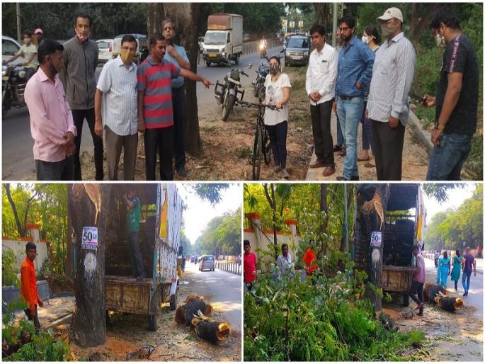 cutting down trees pashan university road cycle tracks protests environmentalists | सायकल ट्रॅकसाठी पाषाण-विद्यापीठ रस्त्यावरील वृक्षांची कत्तल; पर्यावरणप्रेमींकडून निषेध cutting down trees pashan university road cycle tracks protests environmentalists | सायकल ट्रॅकसाठी पाषाण-विद्यापीठ रस्त्यावरील वृक्षांची कत्तल; पर्यावरणप्रेमींकडून निषेध