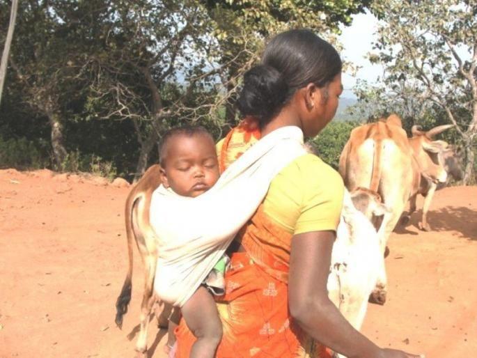 Submit report on tribal unmarried mothers: order of high court | आदिवासी कुमारी मातांवरील अहवाल सादर करा : हायकोर्टाचा आदेश